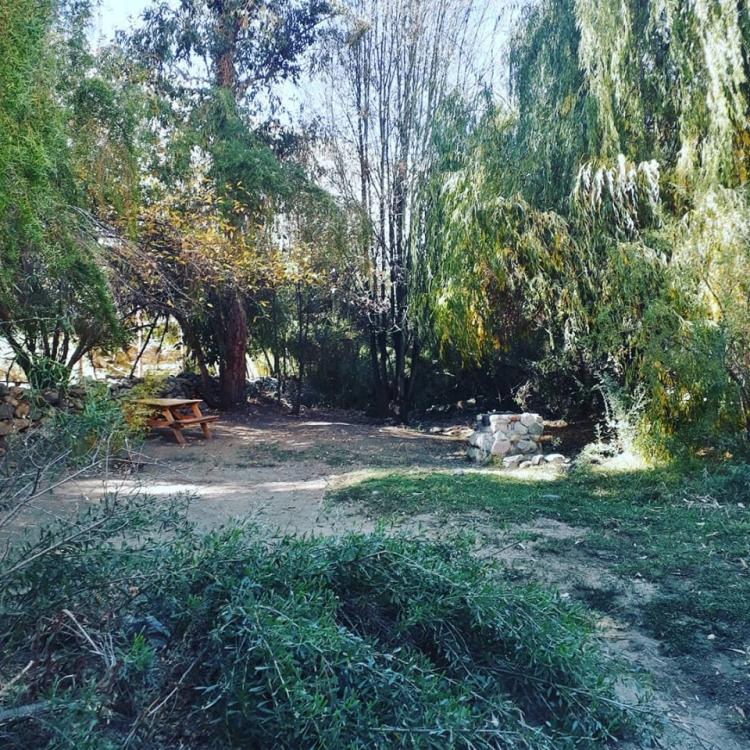 Fotografía 15 de Camping Cochiguaz (Cochiguaz) en Paihuano, Coquimbo