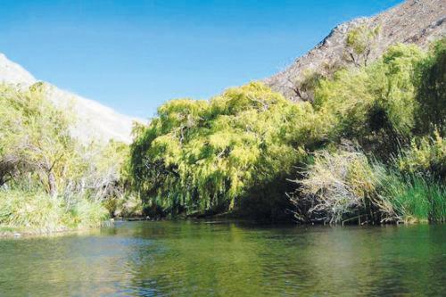 Fotografía 2 de Camping El Retiro en Paihuano, Coquimbo