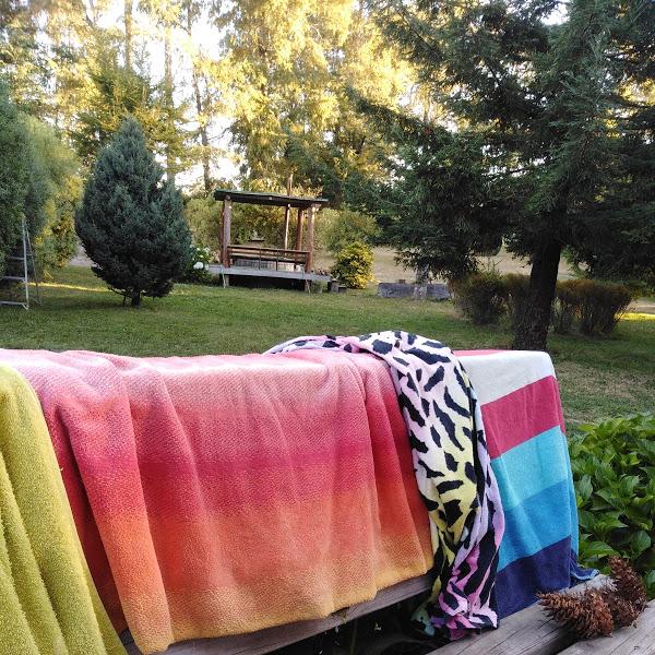 Fotografía 4 de Camping Y Cabañas Damian en Panguipulli, Los Rios