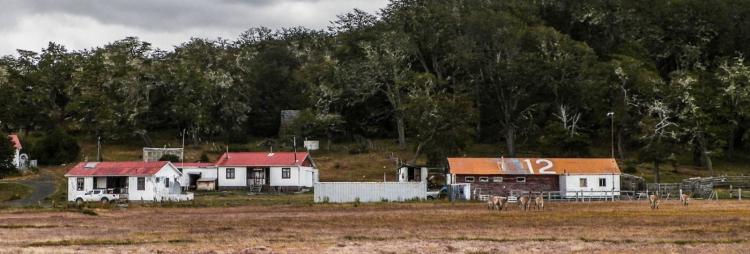 Fotografía 8 de Parque Karukinka en Timaukel, Magallanes