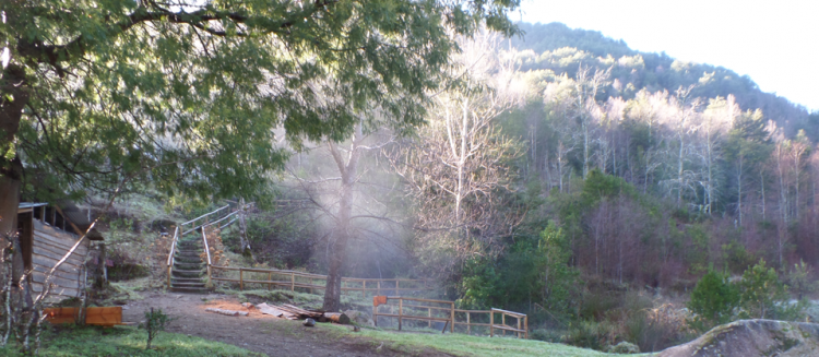 Fotografía 2 de Camping Termas Manquecura en Panguipulli, Los Rios