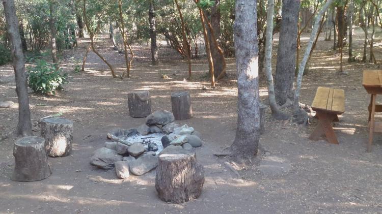 Fotografía 17 de Camping Las Luciernagas en Longavi, Maule
