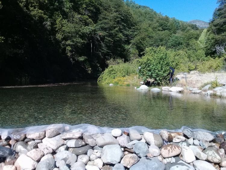Fotografía 20 de Camping Las Luciernagas en Longavi, Maule