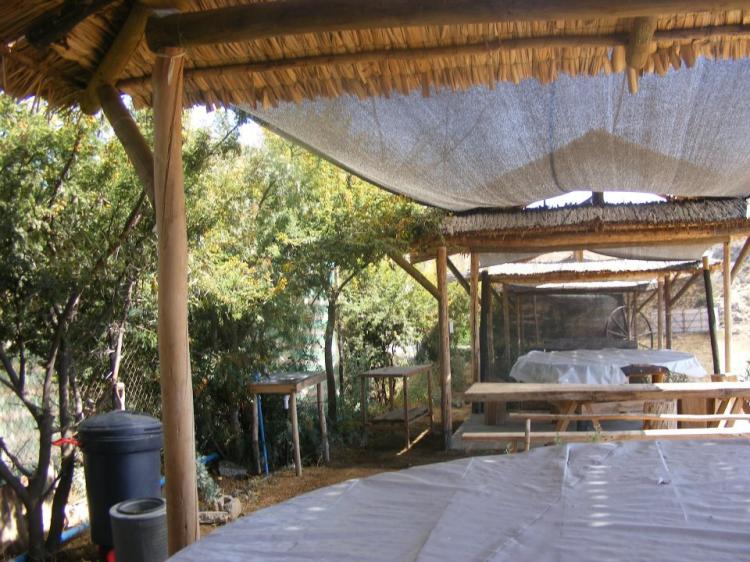 Fotografía 3 de Camping Chaway en Andacollo, Coquimbo