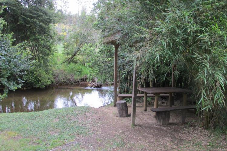 Fotografía 8 de Camping Los Copihues de Casablanca en Paillaco, Los Rios