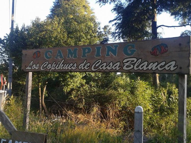 Fotografía 11 de Camping Los Copihues de Casablanca en Paillaco, Los Rios