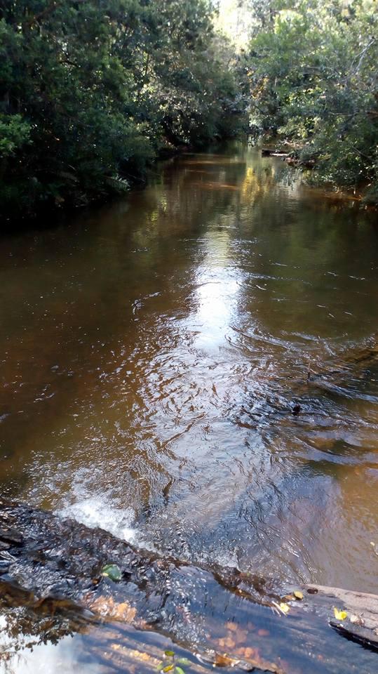 Fotografía 13 de Camping Los Copihues de Casablanca en Paillaco, Los Rios