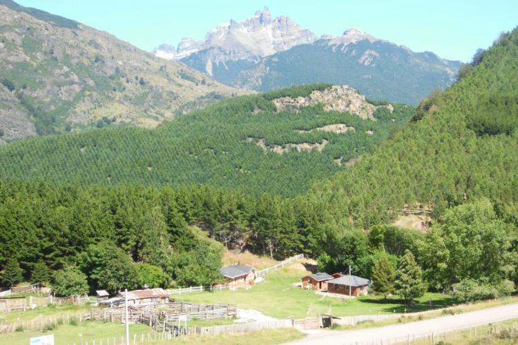 Fotografía 3 de Camping De Don Noé en Coyhaique, Aysen