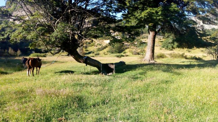 Fotografía 15 de Camping De Don Noé en Coyhaique, Aysen