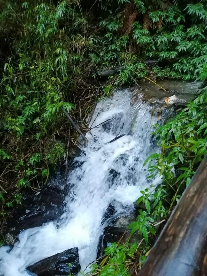 Fotografía 18 de Camping Centro Turístico Lawenco en Puren, Araucania