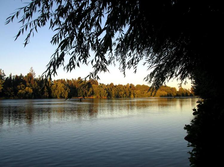Fotografía 3 de Camping Los Arrayanes en Los Angeles, Bio Bio