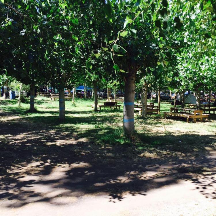Fotografía 4 de Camping Los Arrayanes en Los Angeles, Bio Bio