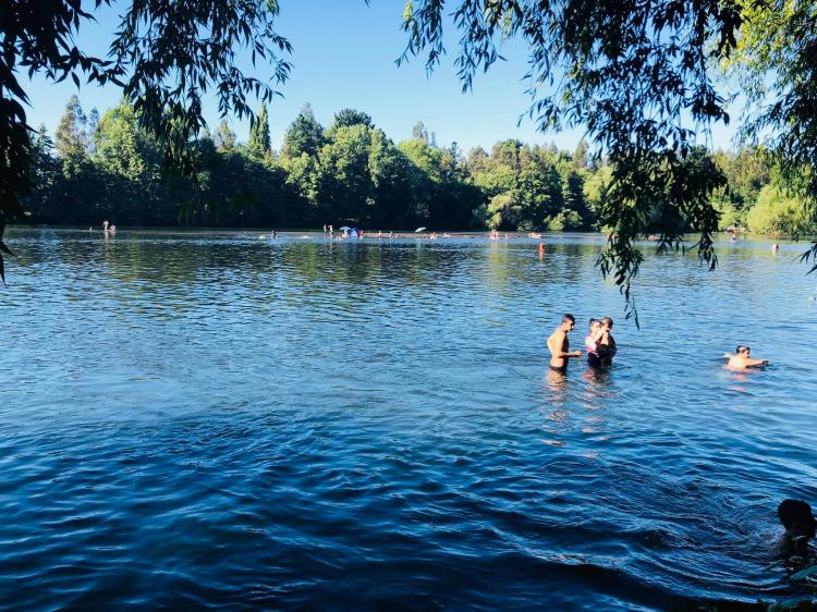 Fotografía 12 de Camping Los Arrayanes en Los Angeles, Bio Bio