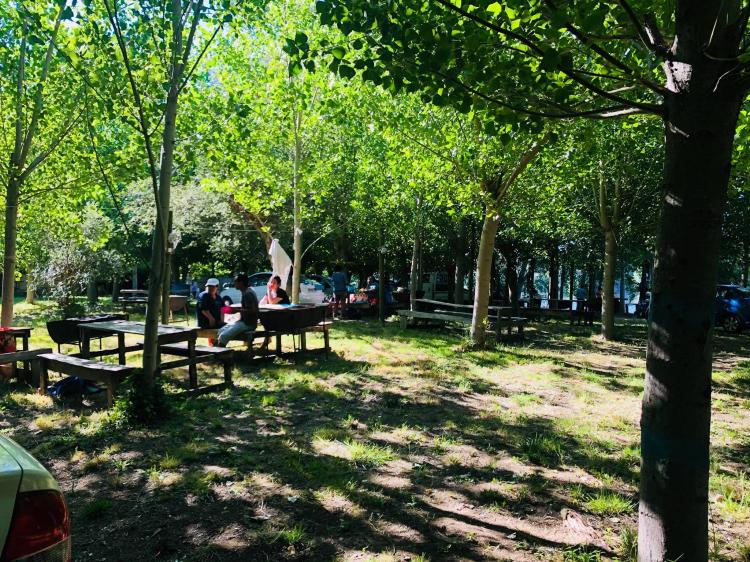 Camping Los Arrayanes en Los Angeles, Bio Bio