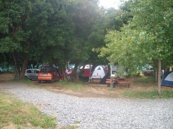 Fotografía 8 de Camping Los Boldos en Pucon, Araucania