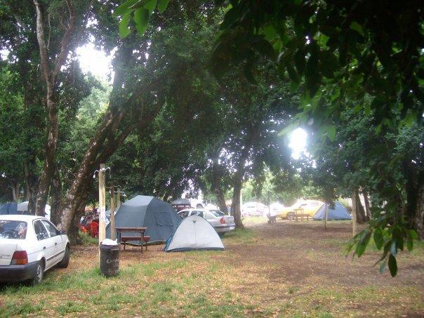 Fotografía 10 de Camping Los Boldos en Pucon, Araucania