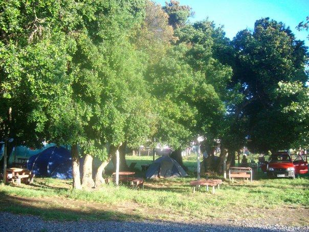 Fotografía 11 de Camping Los Boldos en Pucon, Araucania