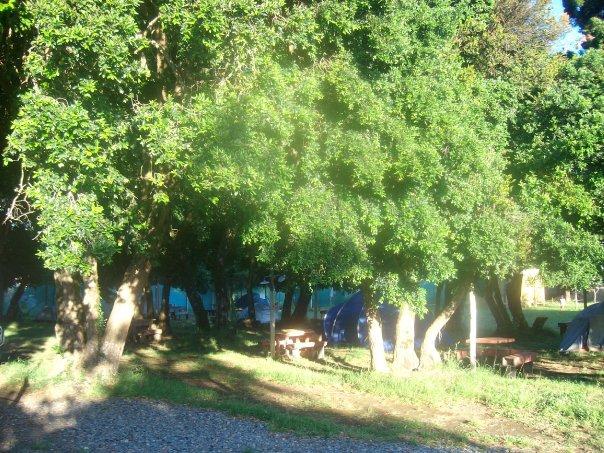 Fotografía 12 de Camping Los Boldos en Pucon, Araucania