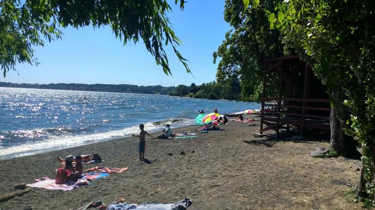 Fotografía 2 de Camping Los Alamos en Rio Bueno, Los Rios