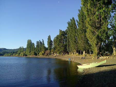 Fotografía 7 de Camping Los Alamos en Rio Bueno, Los Rios