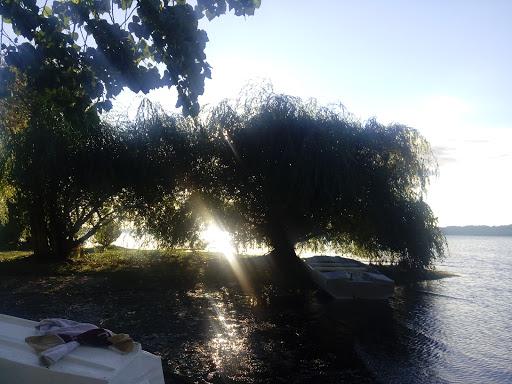 Fotografía 8 de Camping Los Alamos en Rio Bueno, Los Rios