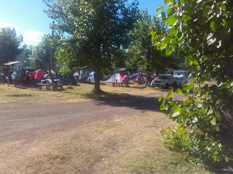 Fotografía 11 de Camping Los Alamos en Rio Bueno, Los Rios