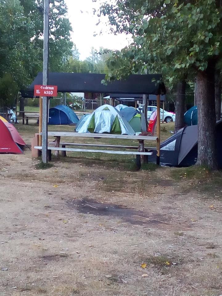 Fotografía 18 de Camping Los Alamos en Rio Bueno, Los Rios