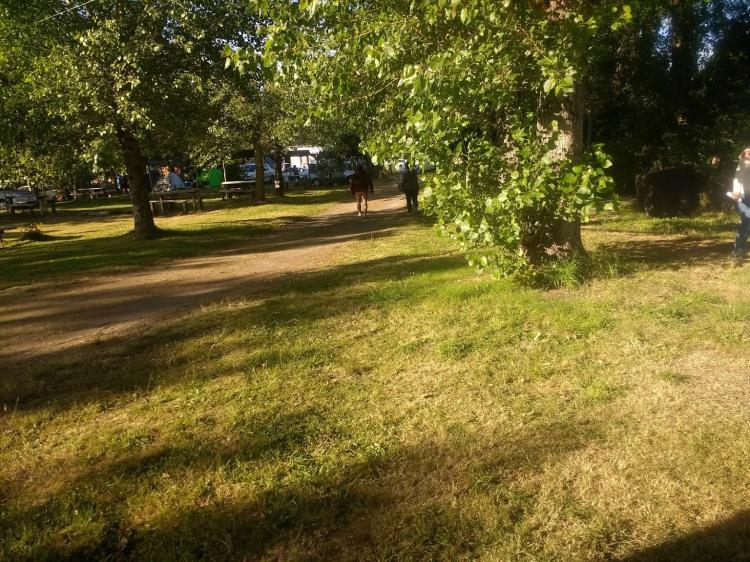 Fotografía 19 de Camping Los Alamos en Rio Bueno, Los Rios