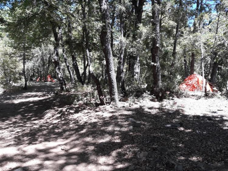 Fotografía 4 de Camping Las Vertientes en Molina, Maule