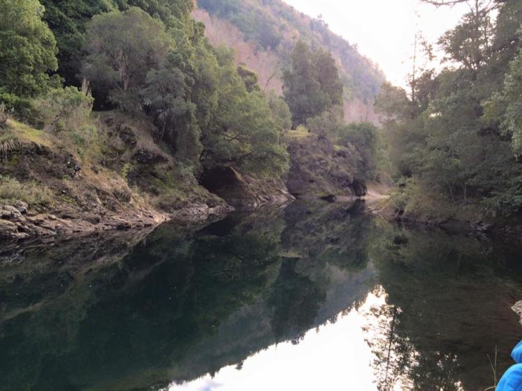 Fotografía 2 de Camping Huequecura en Santa Barbara, Bio Bio