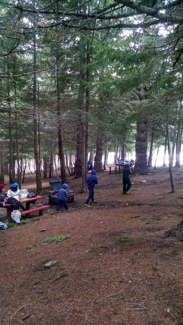 Fotografía 3 de Camping Valle Hermoso Nevados de Chillan en Pinto, Bio Bio