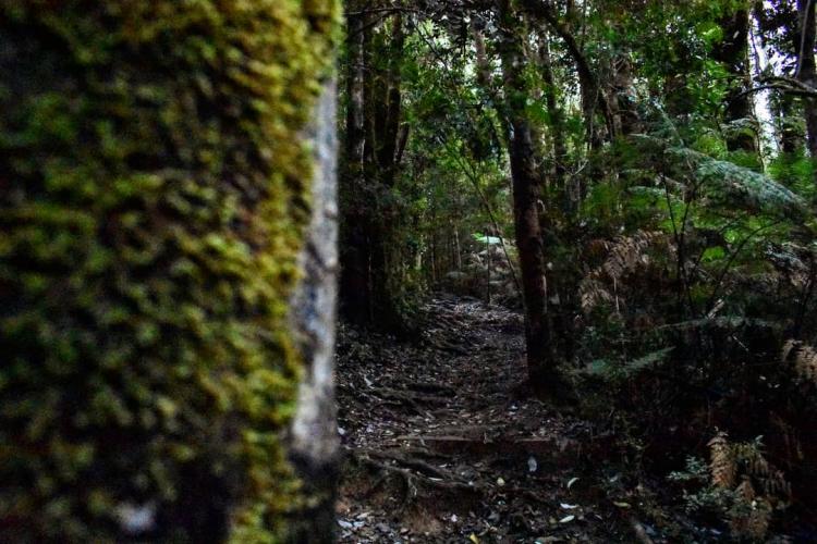 Fotografía 3 de Parque Oncol en Valdivia, Los Rios