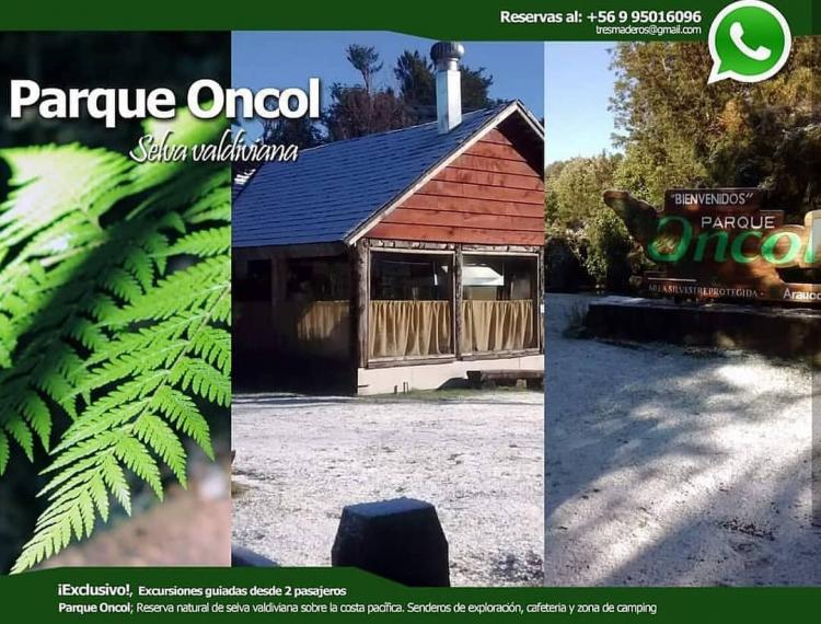Fotografía 6 de Parque Oncol en Valdivia, Los Rios
