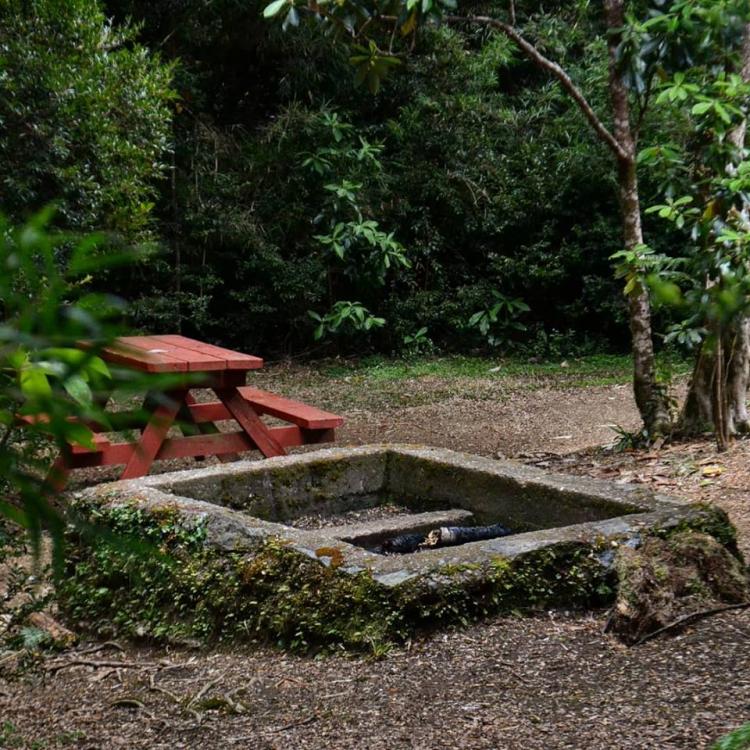 Fotografía 9 de Parque Oncol en Valdivia, Los Rios