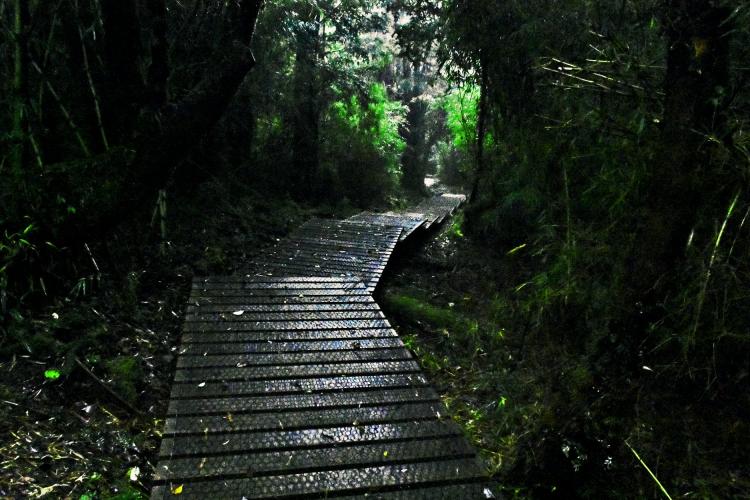 Fotografía 16 de Parque Oncol en Valdivia, Los Rios