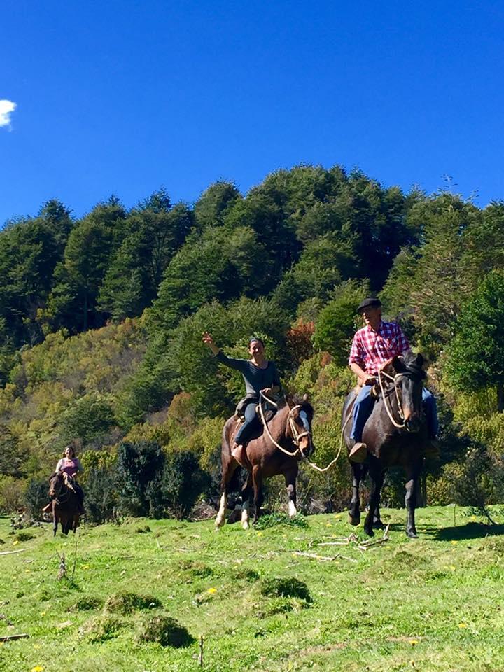 Fotografía 12 de Rancho Tres Cruces en Aysen, Aysen