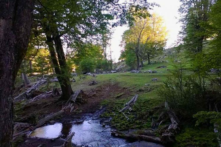 Fotografía 10 de Tres Manantiales Camping en Coyhaique, Aysen