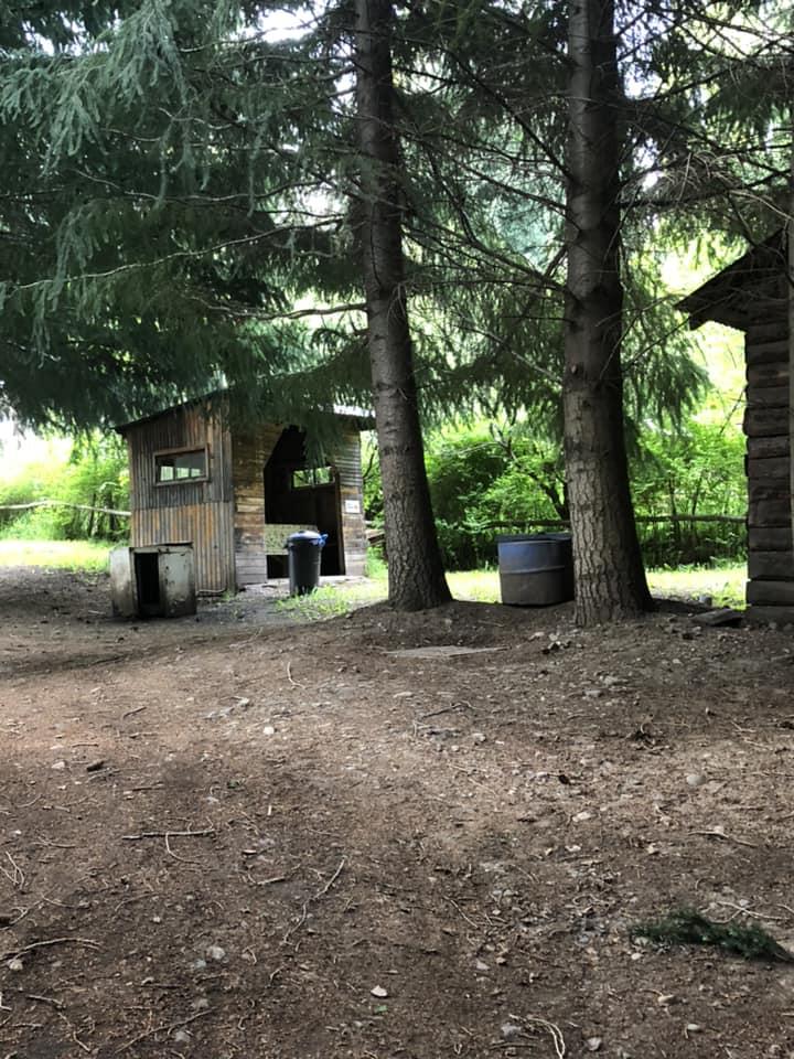 Fotografía 11 de Camping Alborada en Coyhaique, Aysen