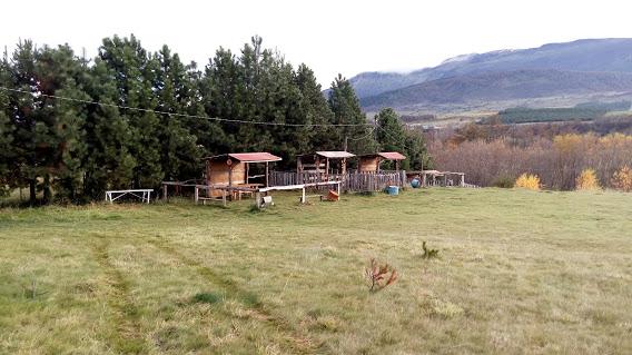 Fotografía 3 de Camping Emanuel en Coyhaique, Aysen