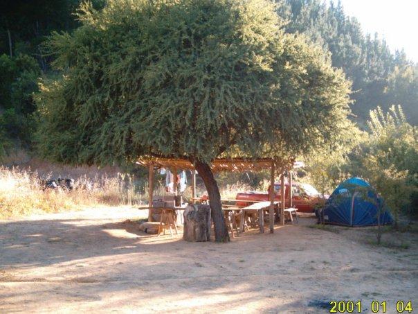 Fotografía 9 de Camping Entre Pinos en Curepto, Maule
