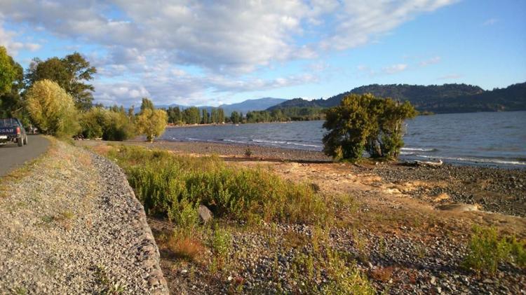Fotografía 5 de Camping Los Hualles en Rio Bueno, Los Rios