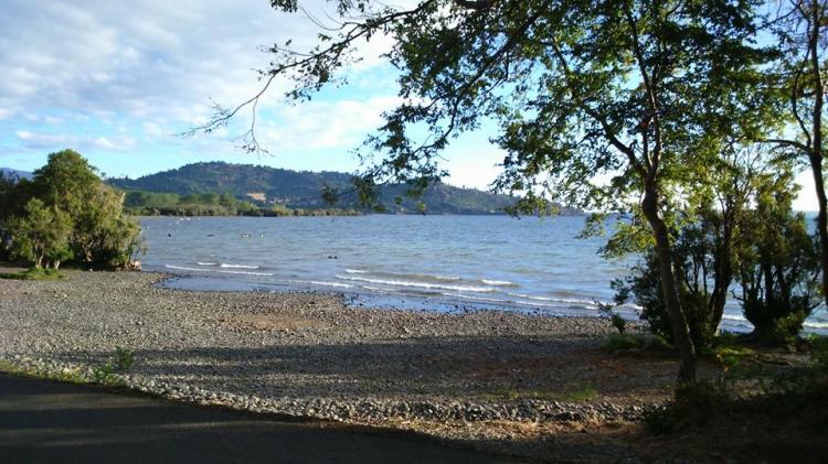 Fotografía 8 de Camping Los Hualles en Rio Bueno, Los Rios