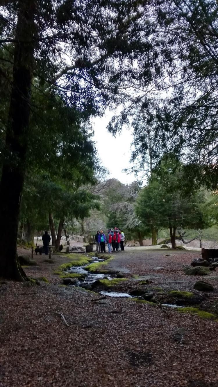 Fotografía 4 de Camping Las Rocas De Pitrilon en Alto Bio Bio, Bio Bio