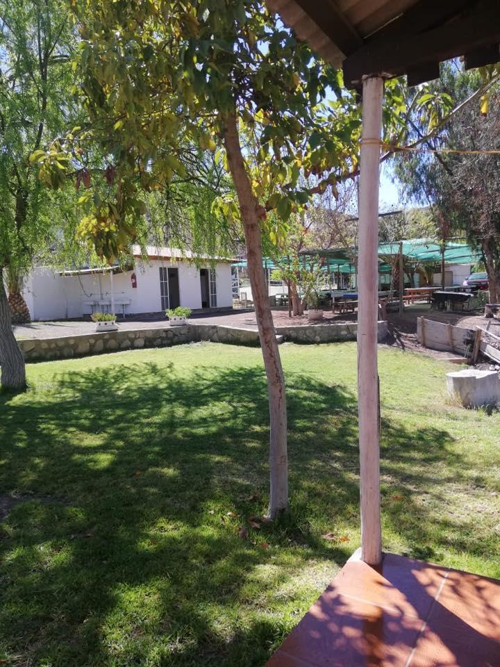 Fotografía 15 de Agrocamping Valle de Estrellas en Rio Hurtado, Coquimbo