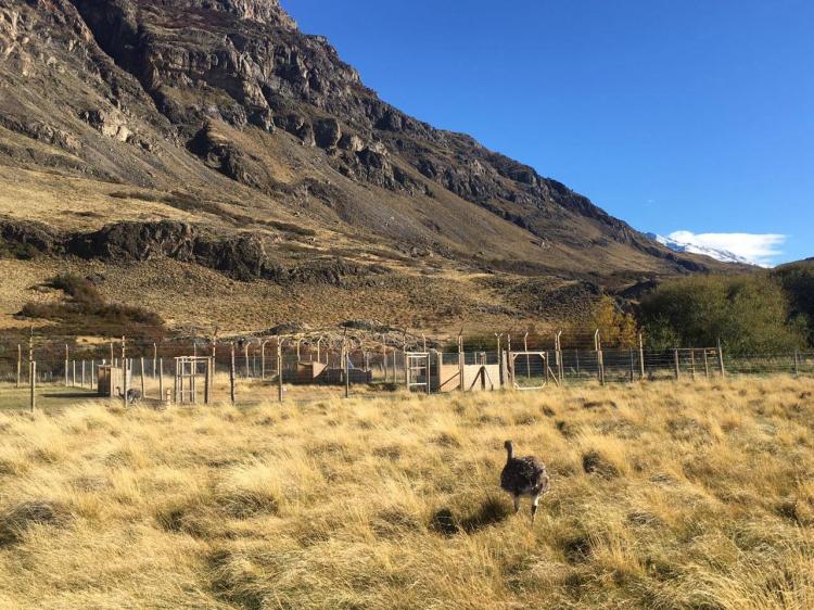 Fotografía 3 de Parque Patagonia en Cochrane, Aysen