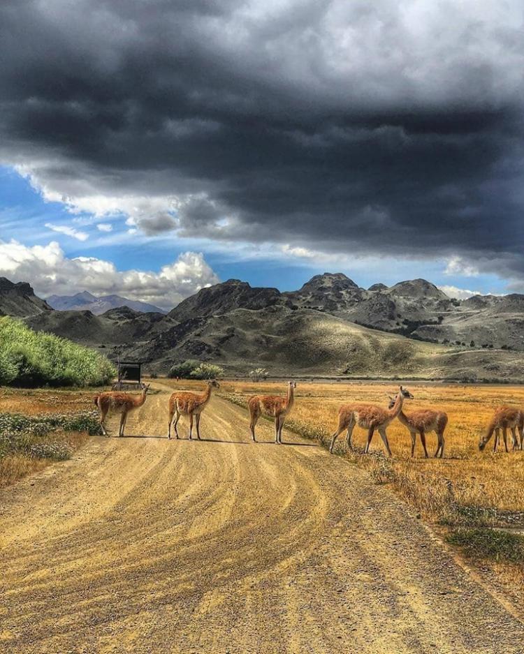 Fotografía 9 de Parque Patagonia en Cochrane, Aysen