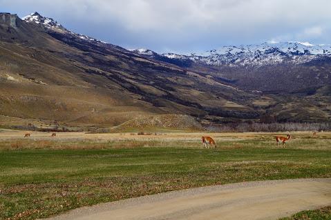 Fotografía 13 de Parque Patagonia en Cochrane, Aysen