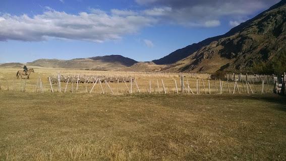 Fotografía 14 de Parque Patagonia en Cochrane, Aysen