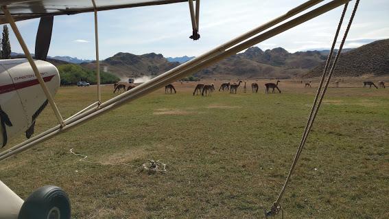 Fotografía 14 de Camping Los West Winds en Cochrane, Aysen