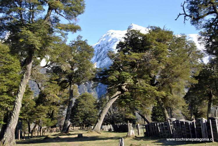 Fotografía 2 de Refugio Y Camping Rio Áadis en Cochrane, Aysen